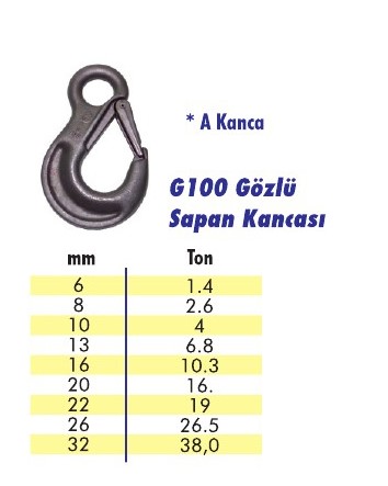 G100 Gözlü Sapan Kancası