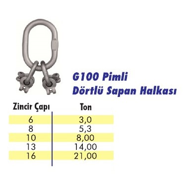 G100 Pimli Çiftli Sapan Halkası