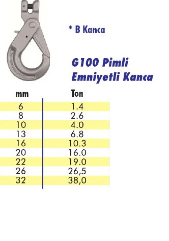 G100 Pimli Emniyetli Kanca