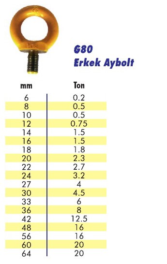 G80 Erkek Aybolt